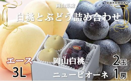 yRRsz Ԃǂ 2026N R  G[X 2×300gi3LTCYAEjj[ sI[l 1[600g lߍ킹 RY t[c