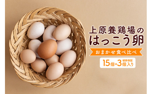 訳あり はっこう卵 3～4種 おまかせ 食べ比べ 15個 +破卵保障3個 卵 種類 サイズ お任せ 訳アリ 3種 4種 白卵 赤卵 青卵 烏骨鶏 有精卵  軍鶏 アローカナ たまご タマゴ 食比べ 生卵 味卵 目玉焼き ゆで卵 沖縄 産地直送 上原養鶏場 沖縄県 糸満市