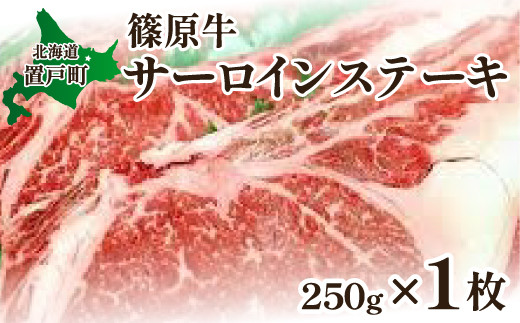 ykCu˒zT[CXe[L 250g×1 y ӂ邳Ɣ[ lC  LO   Xe[L T[CXe[L T[C ɂ ݂炢 Y  _炩