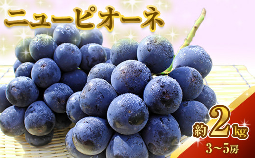 yRsz[5615-0078]j[ sI[l 2kg 3`5[ Ԃǂ  t[c R sY 2026N s\ ʕ ʕ