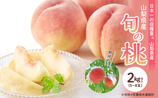 yRaz2026Ns\񁄎RY {̓ 2kgȏ(5`8ʁjӂ邳Ɣ[ s\ SWAB009