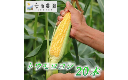 ytَRszs\2026N5{菇@_̋قǂɊÂgERV 20{y1486584z