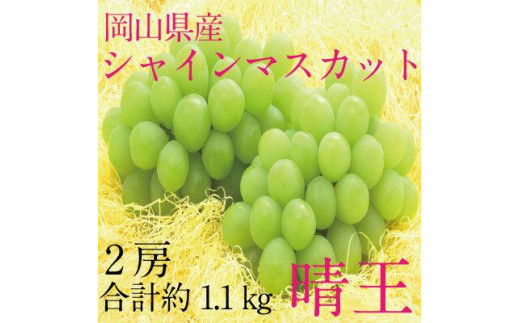 ぶどう 2024年 先行予約 シャイン マスカット 晴王 2房（合計約1.1kg） ブドウ 葡萄 岡山県産 国産 フルーツ 果物 ギフト 岡山県岡山市｜ふるさとチョイス  ふるさと納税サイト