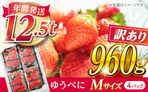 【先行予約】【訳あり】いちご Mサイズ ゆうべに 960g（4pc）【熊本ベリー】 訳あり いちご イチゴ 苺 ゆうべに 大粒いちご [ZER007]