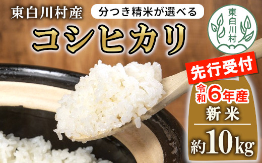 令和6年産 新米 コシヒカリ 玄米 約10kg 五分つき 白米 東白川村産 お  