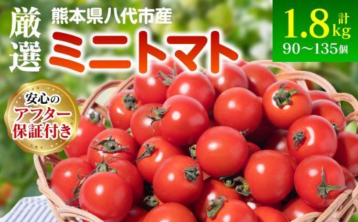 先行予約】厳選ミニトマト 1.8kgトマト 野菜 厳選 やさい サラダ 甘い【2024年12月上旬より順次発送】 - 熊本県八代市｜ふるさとチョイス  - ふるさと納税サイト