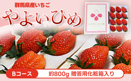 予約専用 やよいひめ約800g 資材込み ￥2500 Bコース】群馬県産いちご「やよいひめ」約800g 贈答用化粧箱入り