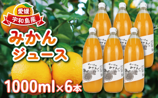 みかん ジュース 1,000ml×6本 清家 100％ジュース ストレートジュース ストレート 柑橘 みかん 温州みかん ジュース mikan ミカン  爽やか 愛媛ミカン 甘い 温州 愛媛みかん 愛媛県産 果汁 飲料 果物 くだもの フルーツ 国産 愛媛 宇和島 H024-170002 - 愛媛県宇和島市  ...