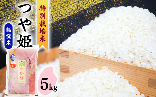 楽天市場】無洗米 特別栽培米 山形県産 つや姫 5kg 令和6年産