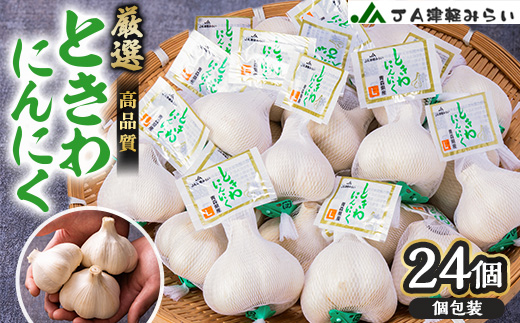 JA津軽みらいの厳選ときわにんにく個包装24玉【1379436】 - 青森県藤崎