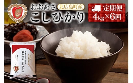 令和6年産 広島県産 おおあさ米 新米コシヒカリ 玄米5キロ