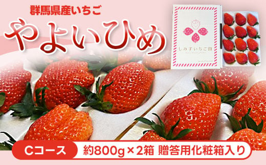 Cコース】群馬県産いちご「やよいひめ」約800g×2箱 贈答用化粧箱入り ANV003 - 群馬県安中市｜ふるさとチョイス - ふるさと納税サイト