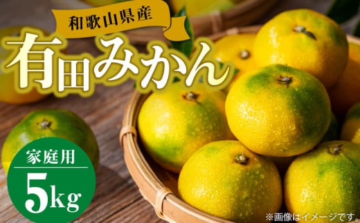 ya̎R󒬁zBL6111n_y󂠂za̎RY Lc݂ 5kg