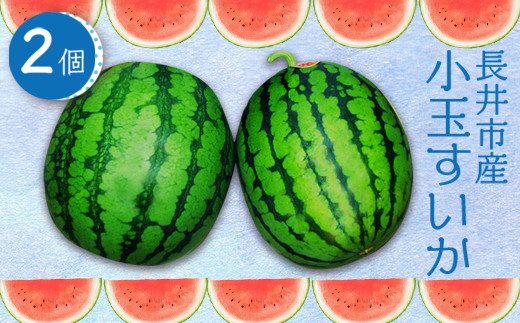 yR`szy2026NzʂisYj1.5`3kg×2_H053(R8)