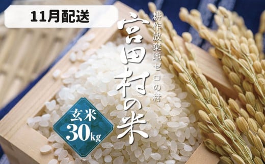 予約受付】【令和６年米】【新米】長野県産 減農薬栽培(栽培期間中)コシヒカリ／玄米／30kg・30,000円／11月配送 - 長野県宮田村｜ふるさとチョイス  - ふるさと納税サイト