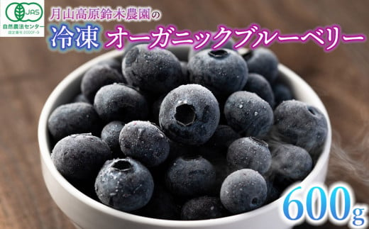 令和6年産【冷凍】月山高原のオーガニックブルーベリー(大粒・600g) A36-603 - 山形県鶴岡市｜ふるさとチョイス - ふるさと納税サイト