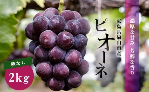 【2024豊富な】ブドウ　ピオーネ　ぶどう フルーツ
