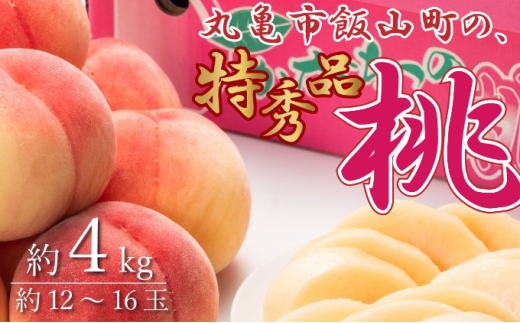 y쌧FÒzGiIۋTsюŔuv4kg  ʕ t[c fU[g Ղ ʏ` Â  V ɂ