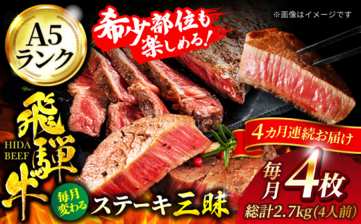 y򕌌yszy4ցzˋ Xe[LOi4lOjv2,720gyLЃ}S[zA5N  a Y [MBE061]