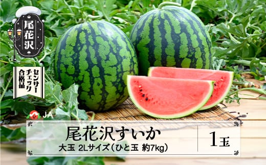 先行予約 尾花沢すいか 2Lサイズ 約7kg×1玉 7月下旬～8月10日頃発送