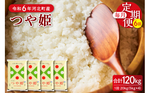 新米 山形県庄内産 つや姫 白米20kg Gセレクション 特別栽培米 - 米  