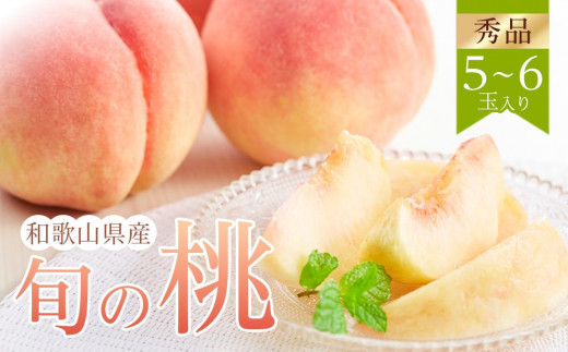 sd1_856c3c9fce7d9e81934fe09eb3