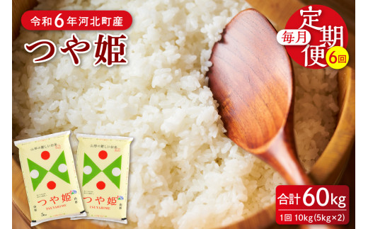 ふるさと納税 米 つや姫 山形県 三川町 3月〜8月発送 つや姫パックライス48P(24P×2箱)×6回 3月〜8月発送