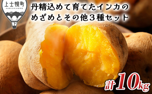 ［012-V60］北海道 ジャガイモ 4種 10kg 先行予約｜北海道産インカ 