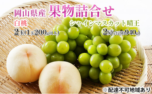 桃 ぶどう 2025年 先行予約 果物詰合せ 白桃 2玉 (1玉200g以上 桃 ぶどう 2025年 先行予約 果物詰合せ 白桃 2玉 (1玉200g以上