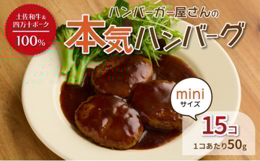 ハンバーガー屋の本気ミニハンバーグ750g（50g×15個） ＜ 国産
