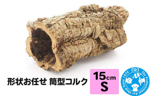 yQnWyz`󂨔C ^RN STCY 15cm GAvc A