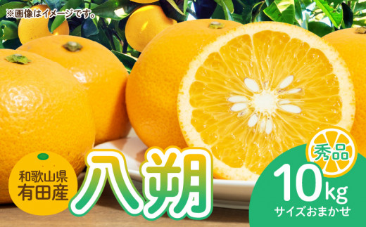 ya̎R󒬁zDI6014n_a̎RLcY  10kg Gi