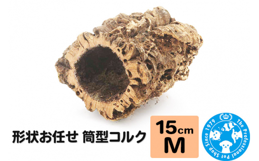 �ԗ�i�摜