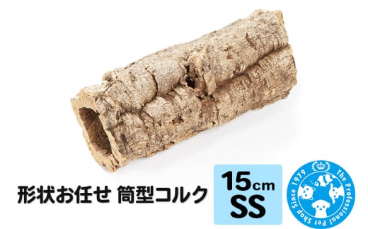 yQnWyz`󂨔C ^RN SSTCY 15cm GAvc A
