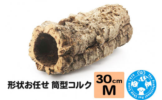 yQnWyz`󂨔C ^RN MTCY 30cm GAvc A