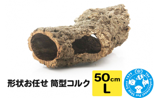 yQnWyz`󂨔C ^RN LTCY 50cm GAvc A
