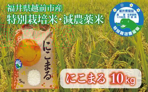 y䌧zOszɂ܂10kg ߘa7NxY 䌧zOsY 䌧ʍ͔|