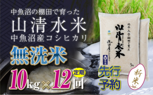 苗箱の通販・価格比較 - 価格.com