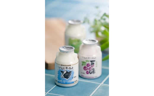 y쌧Xz[Og 3ނ̂ރ[Oglߍ킹I150ml×18{Zbg 쌧 MB MB X i [Og ރ[Og  VC}XJbg VC MB