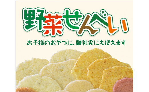 安全安心へのこだわり 野菜せんべい6種セット 長野県 信州 南信州 高