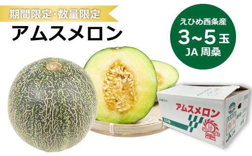 アムスメロン （JA周桑） 3～5玉入り 期間限定 数量限定 2024年6月発送