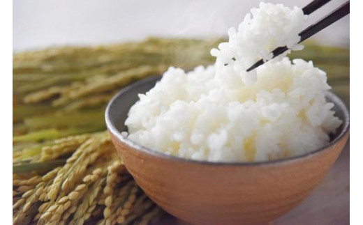 sd1_eee857bbc81ac781b05a4e49d9