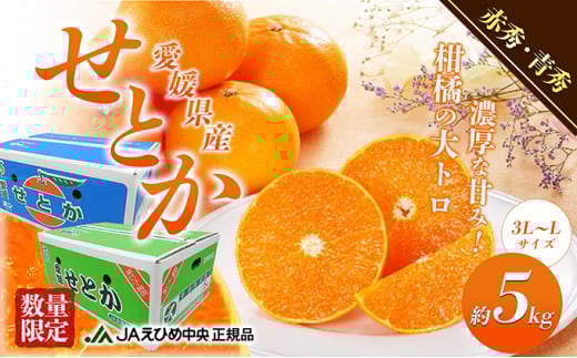 yQszInƂ@ԏGEG@5kg [5303-0213]