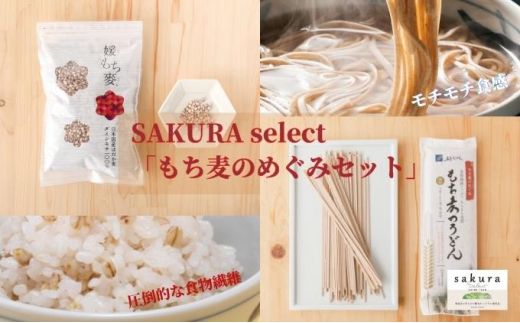 yQszSAKURA select û߂݃Zbgv [5303-0066]