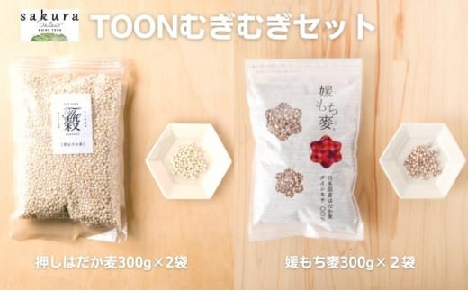 yQszTOONނނZbg [5303-0021]