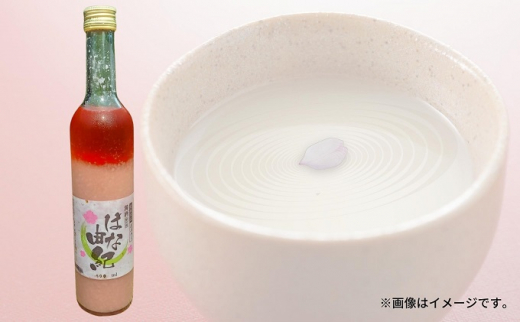 yQsz͂ȗRI [5303-0014]