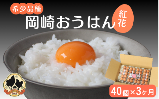 希少品種】岡崎おうはん 紅花の卵 10個入×8パック【冷蔵配送】 / 田辺市 卵 たまご 有精卵 純国産鶏 鶏卵 平飼い お取り寄せ 卵かけごはん  和歌山県【kag006】 - 和歌山県田辺市｜ふるさとチョイス - ふるさと納税サイト