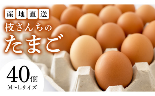 sd1_55237ed89be84fada33abd71ca