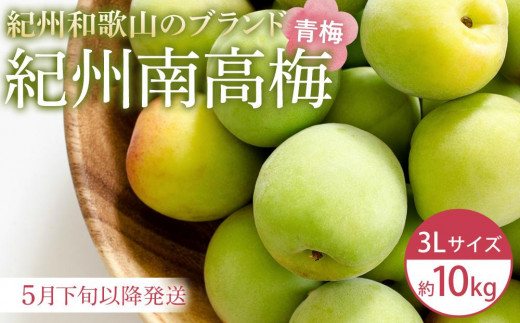 2025年5月下旬以降発送】紀州南高梅(青梅) 10kg〈大粒/3Lサイズ 