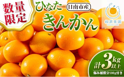 数量限定 ひなたきんかん 計3kg以上 傷み補償分100g付き フルーツ 果物 柑橘 金柑 みかん オレンジ 人気 おすすめ おすそ分け お土産  プレゼント お取り寄せ グルメ 国産 食品 デザート スイーツ おやつ ブランド 特産品 産地直送 宮崎県 日南市 送料無料_B169-21